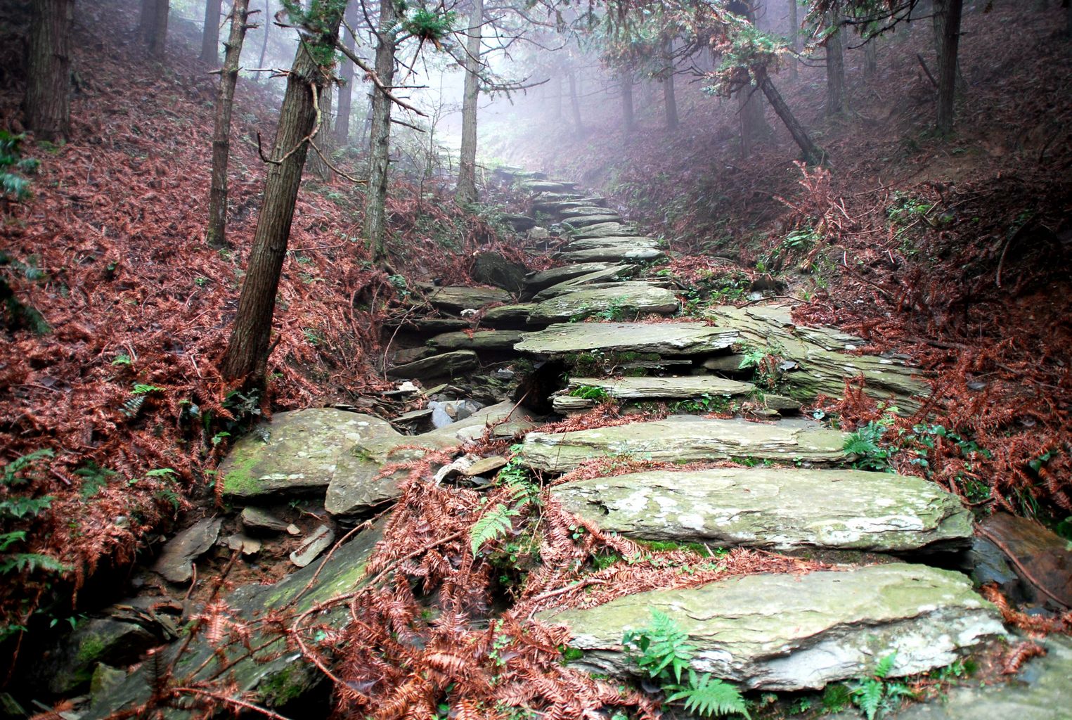 川藏线线路 03 川藏线进青藏线出16日游   茶马古道风景区位于思茅