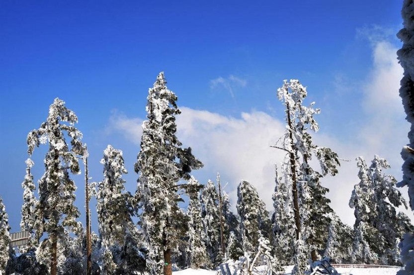 峨眉山雪景