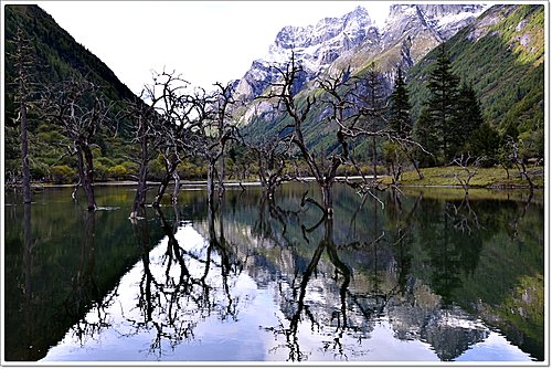 四姑娘山双桥沟美景